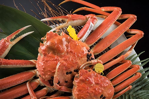 The undisputed taste of winter in Fukui, snow crab