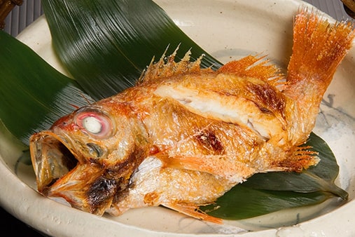 A Hokuriku delicacy, high-quality rockfish