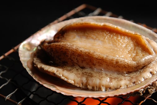In season from late spring through summer, abalone